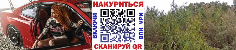 Купить закладку СК  Конопля  COCAIN  Меф  ГАШ  Комсомольск