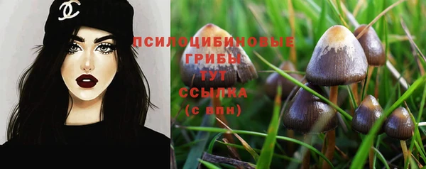 шишки Магас