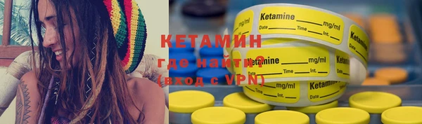 шишки Магас