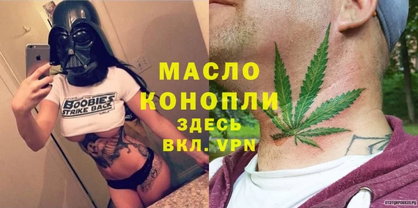 шишки Магас