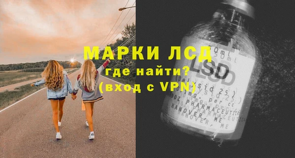 шишки Магас