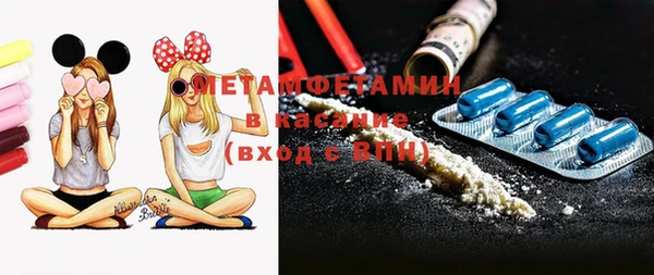 шишки Магас