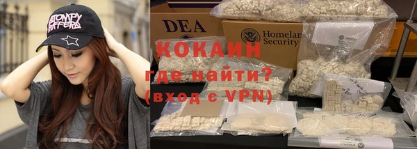 шишки Магас