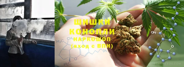 шишки Магас