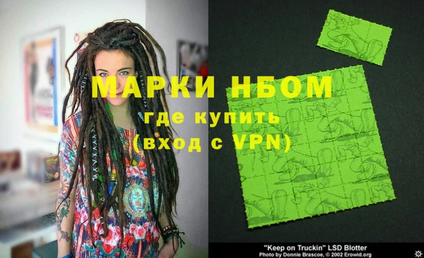 шишки Магас